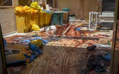 Suwayda 2025 : chronologie d’un massacre annoncé